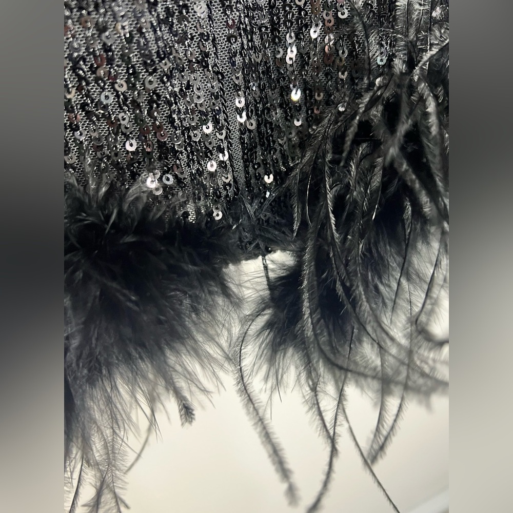 Eliza J Black Sequined Mini Cocktail Party Feather Bottom Dress Size 4 - Picture 6 of 14